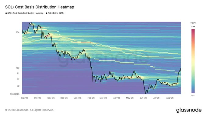 A SOL: Cost Basis Distribution Heatmap chart from Glassnode showing SOL's price in USD over time (Sep '25 - Aug '26), with the price line dropping from around 204 to 72.