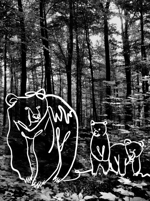A black and white forest photograph overlaid with simple white line drawings of three bears in the foreground.