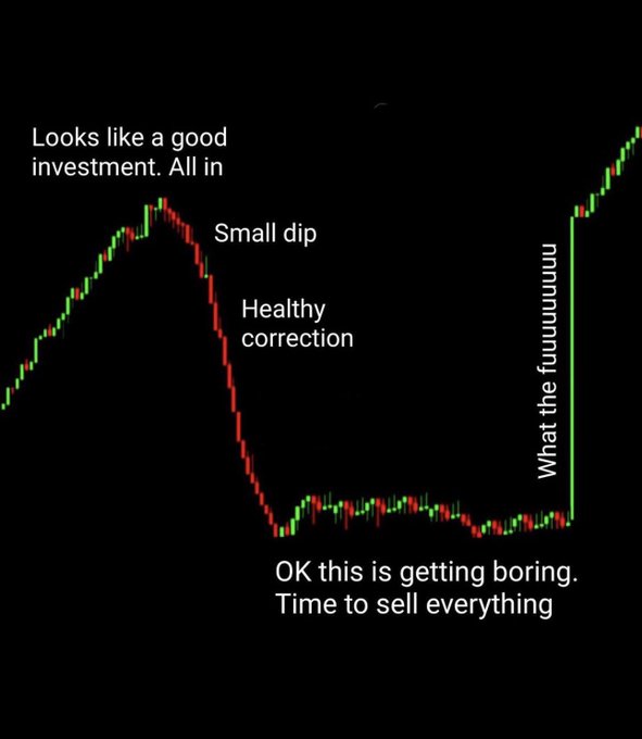 A humorous candlestick chart meme depicting classic buyer's remorse in crypto trading, showing an investor going "all in" at the peak, dismissing the crash as a "healthy correction," then panic-selling at the bottom right before a massive rally begins. The text labels "Looks like a good investment. All in," "Small dip," "Healthy correction," "OK this is getting boring. Time to sell everything," and "What the fuuuuuuu" perfectly capture the cycle of buying tops and selling bottoms, relating to the meme tickers $BLUECHIP, $PAID, and $ALLINU.