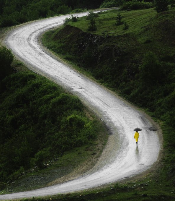 A person in a yellow raincoat walks with a black umbrella along a winding, wet road surrounded by lush green hillsides.