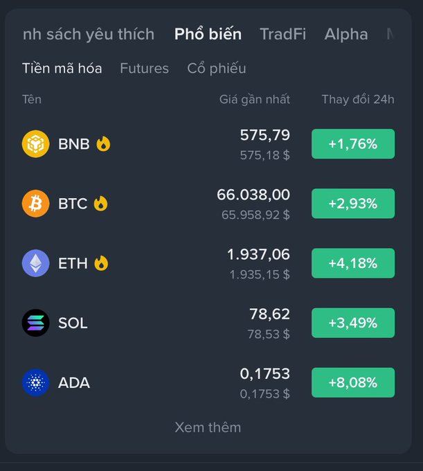 A cryptocurrency price tracking interface on a dark background displays the prices and 24-hour changes for BNB, BTC, ETH, SOL, and ADA, with all listed coins showing positive percentage gains in green.