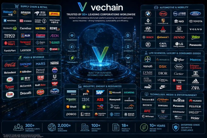 The image is a VeChain ecosystem infographic showcasing 50+ partner logos across categories—Supply Chain & Retail (Walmart, Amazon, BMW, DHL), Food & Beverage (Coca-Cola, Nestle, Tyson), Automotive (BMW, Ford, Toyota), Life Sciences (Novartis, Pfizer, Merck), and Industry/Energy (DNV, PwC, SAP)—highlighting "300+ enterprise clients," "2,000+ nodes worldwide," and "10+ years proven track record." It visually supports the post's claim about VeChain's extensive enterprise adoption by major brands like Walmart, BMW, and LVMH, suggesting significant real-world integration that the market has yet to fully value.