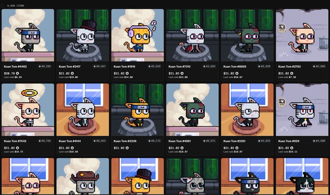Grid marketplace of cartoon cat NFT collectibles titled 'Kuan Tom' with various hats, outfits, and accessories, each priced around $21.00 with different last-sale values.