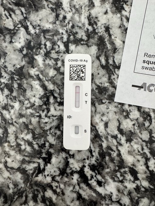 A “COVID-19 Ag” rapid test shows two lines at C and T, indicating a positive result. It accompanies the post “Tested positive for stimmies and a nft bull run?”, using the positive test as a playful metaphor for optimism about STIMMY payments and an NFT bull run.