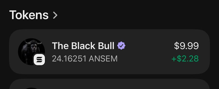 A dark-themed digital wallet interface displays a token called 'The Black Bull' (verified) with a balance of 24.16251 ANSEM, valued at $9.99 and showing a gain of +$2.28.