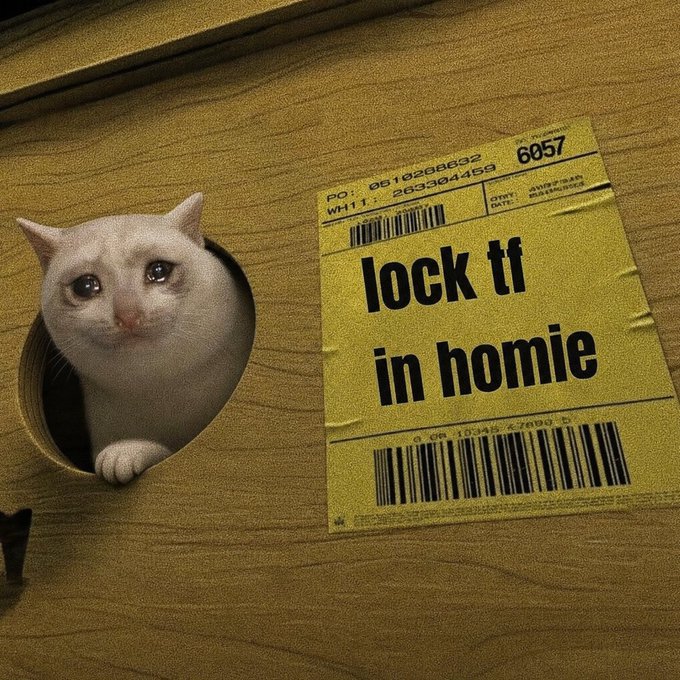 A crying white cat peeks through a circular hole in a wooden box next to a yellow shipping label reading "lock tf in homie" with numbers 6057 and PO: 0510208892. The image humorously illustrates the post's sentiment about holding the $CASHCAT token, with the teary cat conveying the emotional commitment of locking in the investment, especially given the poster's faith in Robinhood's support of the asset.