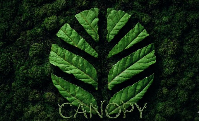 A stylized logo featuring green leaves arranged in a fan shape over a mossy background, with the word 'CANOPY' written at the bottom.
