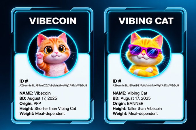 The image features two cat-themed trading cards with a focus on vibecon and vibing cat characters. The cards are displayed against a blue background, making them stand out prominently. Each card has a unique design for the vibecon character, one being orange and white while the other is yellow and black. Both cards have text that reads "Vibecon" and "Vibing Cat", indicating their theme or purpose in the trading card game. The cards also include information about the characters' names, heights, and weights, providing a more detailed look at these virtual pets.