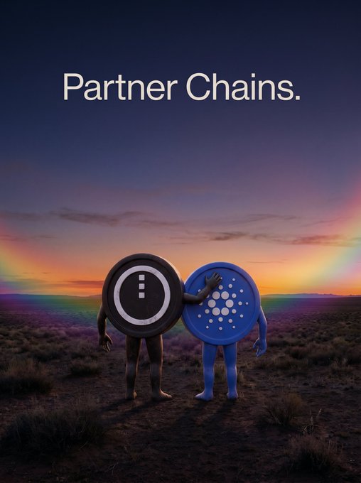 The image features two characters, one wearing a black suit with an "X" symbol and the other dressed as a blue chipmunk holding a "D" symbol. They are standing together against a backdrop of a sunset or sunrise, which is depicted in various shades of orange, pink, and purple. The text on the poster reads "Partner Chains." This suggests that these characters represent different aspects of partnership chains, with one character symbolizing the financial aspect and the other representing the technological or digital side.
