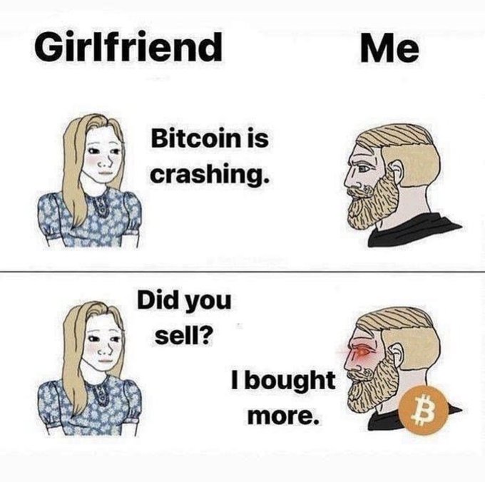 A two-panel "Yes Chad" meme shows a girlfriend telling her boyfriend "Bitcoin is crashing," and asking "Did you sell?" to which the red-eyed Chad responds "I bought more," with a Bitcoin logo beside him.