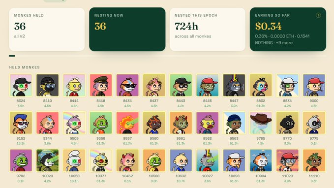 A dashboard interface for "MONKES" NFT collection showing 36 held across all V2, with 36 nesting now, 724h nested this epoch, and $0.30 earnings so far, along with a grid of individual Bored Ape-style monkey avatars.