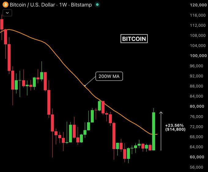 A weekly Bitcoin/USD chart from Bitstamp shows BTC rallying +23.56% ($14,800) to around $78,000 in a single weekly candle, its largest since March 2023, while still trading below the descending 200-week moving average.