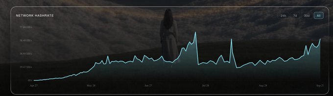 A 'NETWORK HASHRATE' chart shows fluctuating data points with a peak line graph against a dark background featuring a figure, with selectable time filters of 24h, 7d, 30d, and All.