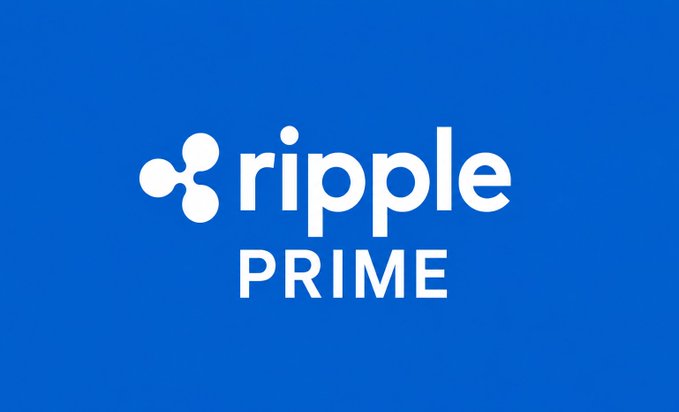 A blue logo screen displays 'ripple PRIME' in white text with the Ripple symbol.