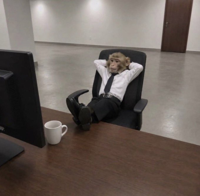 A monkey dressed in a shirt and tie sits back with its feet on an office desk, hands behind its head, gazing at a computer monitor in a relaxed pose. The image humorously conveys a sense of calm indifference or "not my problem," contrasting with the post's message that while many crypto investors face manipulation issues, $KAS (Kaspa) holders can relax and enjoy a pump week due to its transparent, manipulation-resistant nature.