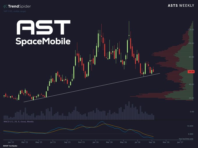 A weekly candlestick chart for AST SpaceMobile (ASTS) on TrendSpider, showing the stock's price action from January 2025 through September 2026, with the current price highlighted at 55.05 and an upward trendline drawn along the lows.