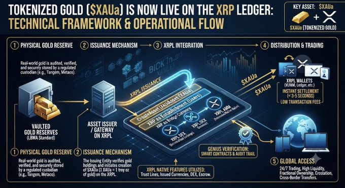 The image is a technical framework infographic detailing how tokenized gold ($XAUa) operates on the XRP Ledger, showing a five-step flow from physical gold reserves (LBMA standard) through asset issuance on XRPL, integration with XUMM wallets, and global 24/7 trading access. It highlights key features like XRPL native tools (Trust Lines, Issued Currencies, DEX, Escrow), instant settlement under 3-5 seconds, and Genius verification for smart contracts and audit trails, expanding on the post's announcement of $XAUa's live launch.
