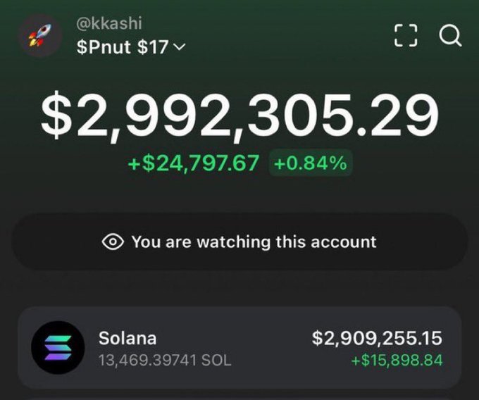A cryptocurrency portfolio tracking interface for '@kkashi' labeled '$Pnut $17' showing a balance of $2,992,305.29 (up $24,797.67 / +0.84%), with holdings including 13,469.39741 SOL valued at $2,909,255.15.