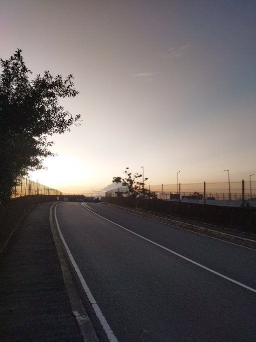 A scenic view of an empty road at sunset or sunrise, with a tree silhouetted on the left and streetlights lining the road.