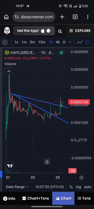 A mobile screenshot from dexscreener.com showing the $HAYLORD/E... trading pair on a 1-hour chart, with a current price of 0.0002165 (down 0.37%) and a declining trend illustrated by a descending channel pattern, supporting the post's message about the coin's continued low market cap despite expectations.