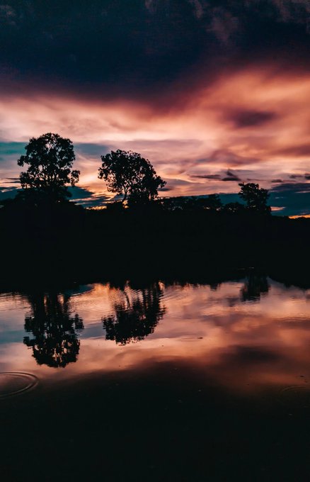 A serene sunset scene features silhouetted trees reflecting in a calm body of water, with dramatic pink and purple clouds in the sky.