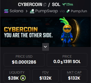 Screenshot of a cryptocurrency tracker showing 'CYBERCOIN' priced at $0.0001286 (0.00001391 SOL) via PumpSwap on the Solana network, with a $28K liquidity and $132K market cap.
