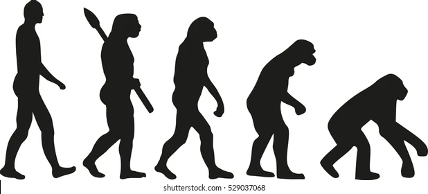 The image shows a black-and-white silhouette illustration of the classic "evolution of man" sequence, depicting the progression from a chimpanzee-like ancestor through several intermediate hominid figures to a fully upright modern human walking with a confident stride.

This connects to the Crypto Twitter post by humorously suggesting that being part of the crypto community since 2014 has transformed its members from primitive "ape" mentality (a common crypto slang term for enthusiastic retail traders) into evolved, sophisticated investors.