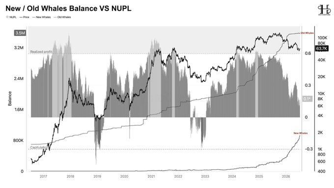 The chart "New / Old Whales Balance VS NUPL" tracks Bitcoin price and whale holdings from 2017 to 2026, showing Old Whales' balance rising steadily to around 80K BTC (near the "Old Whales" label on the right axis) while New Whales have begun climbing sharply from the "Capitulation" zone, visually supporting the post's claim that long-term whales are maintaining elevated positions at ~63.7K NUPL while newer entrants absorb post-correction supply.
