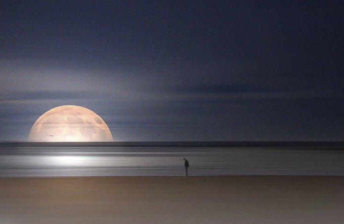 A serene nighttime scene featuring a large moon setting over the ocean, with a solitary figure standing on the shore looking out at the water.