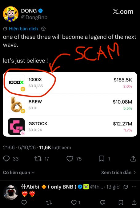 A tweet from DONG (@DongBnb) about crypto tokens including 1000X, BREW, and GSTOCK, with '1000X' circled in red and 'SCAM' written in large red letters with an arrow pointing to it.