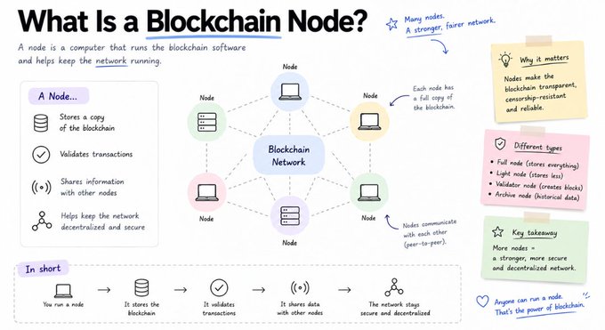 An infographic titled 'What Is a Blockchain Node?' explains that nodes are computers running blockchain software that store a copy of the blockchain, validate transactions, and communicate peer-to-peer to maintain a decentralized network.