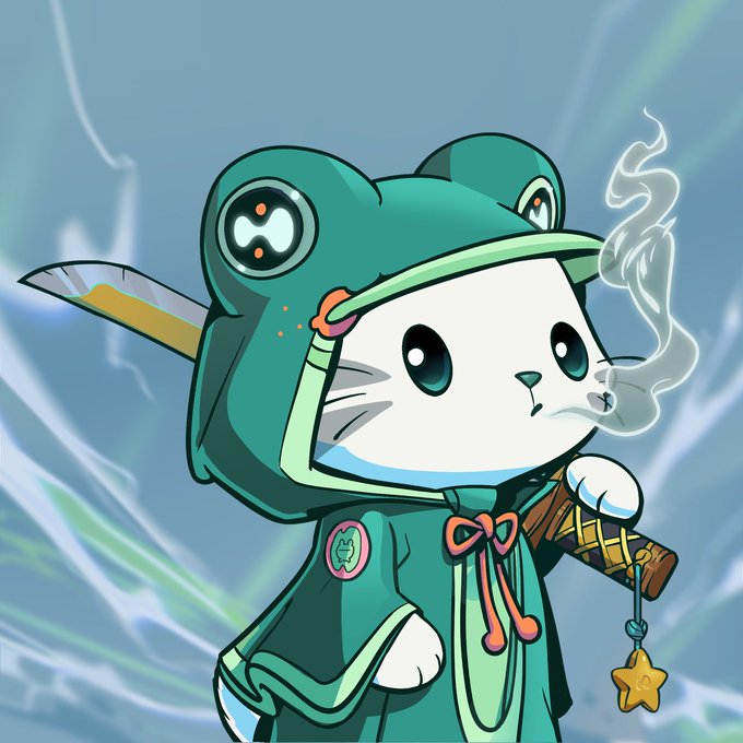 A chibi cat character wearing a green frog-themed hooded cloak holds a smoking pipe and a star charm, embodying the "Hypurr" NFT referenced in the post about HyperEVM assets. The cute, frog-eyed mascot ties into the speaker's bullish sentiment on the Hyperliquid ecosystem.