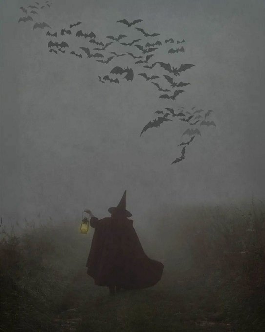 An atmospheric, painterly image showing a silhouette of a cloaked figure wearing a pointed hat and holding a glowing lantern, walking through a misty field beneath a large flock of bats flying in a curved formation.