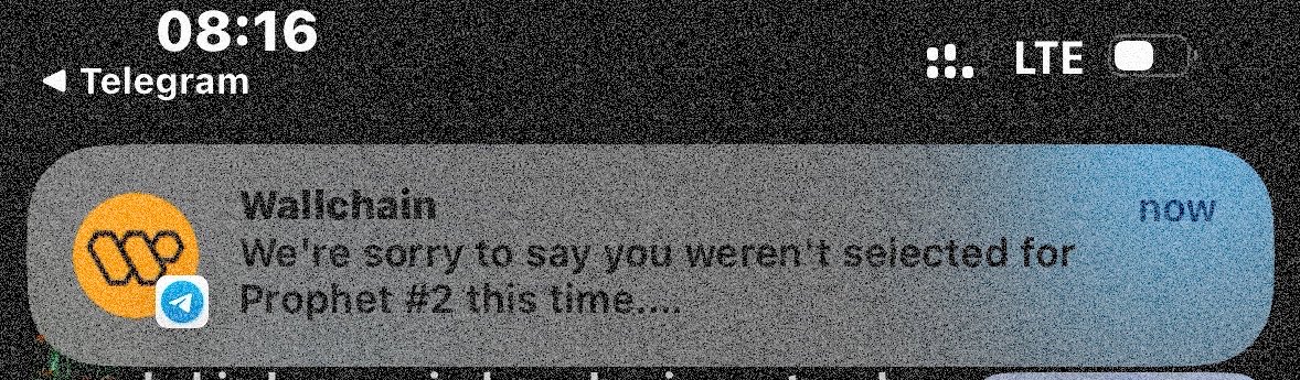 A Telegram push notification from Wallchain reading 'We're sorry to say you weren't selected for Prophet #2 this time...'
