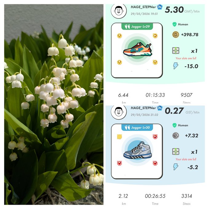 The image shows two different pictures of a pair of shoes, one with white flowers and another with blue flowers. The first picture features a pair of sneakers with white lily pads on them, while the second picture displays a pair of sneakers with blue lily pads. Both pairs of sneakers are positioned in front of a green plant that has white flowers. The image also contains text that reads "HATE Stepn Activation Code ?".