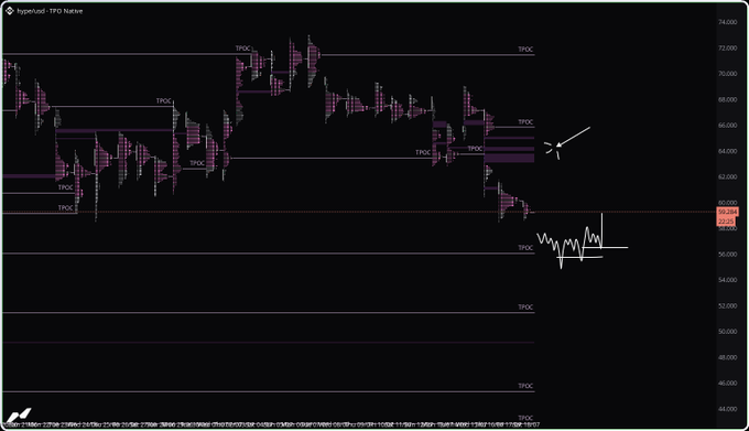 A TradingView candlestick chart on TPO Native with multiple TPO labels, price levels from 44 to 74,000, showing a recent downward move with TPOC markers highlighted.