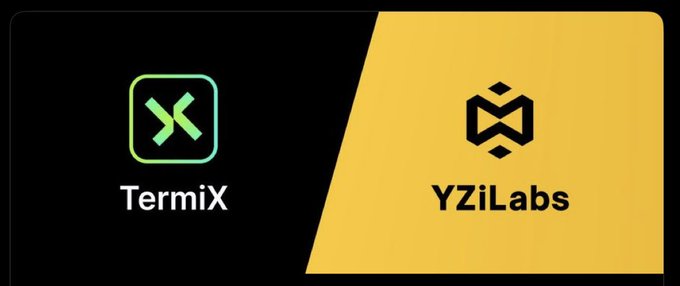 A split graphic showing two logos: 'TermiX' on a black background and 'YZiLabs' on a yellow background.