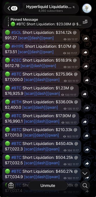 A Telegram channel screenshot titled 'Hyperliquid Liquidation...' showing pinned liquidation alerts for crypto tickers like BTC, SOL, HYPE, ZEC, and ETH with prices and timestamps.