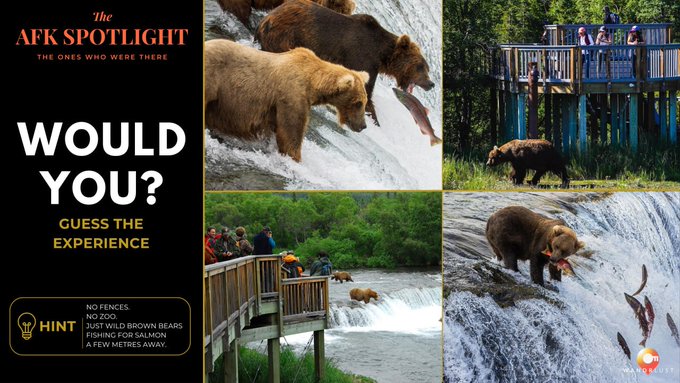 An 'AFK SPOTLIGHT' travel-themed graphic with the text 'WOULD YOU? GUESS THE EXPERIENCE' and a hint describing wild brown bears fishing for salmon without fences at Brooks Falls, Alaska Zoo. Images show bears catching salmon at a waterfall and tourists watching from a viewing platform.