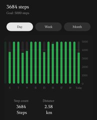 A dark fitness dashboard shows “3684 steps” and “Goal: 5000 steps,” with Day, Week, and Month tabs and green bar charts labeled “Distance 2.58 km.”