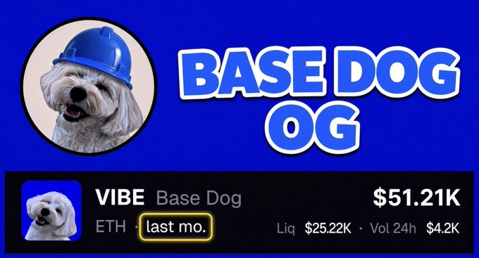 The image shows a promotional graphic for "Base Dog" with a fluffy white dog wearing a blue hard hat, displaying key stats including a $51.21K value, $25.22K liquidity, and $4.2K 24h volume, with the ticker $VIBE and "1 month ago" deployment highlighted. The graphic celebrates VIBE's first-month milestones as a true OG token on O1 Exchange, including its Vibe Club NFT collection and rewards portal launch.