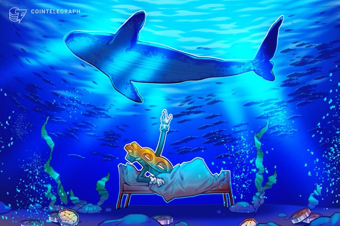 A Cointelegraph cartoon depicts a person sleeping on a bed underwater while a shark and fish swim above them, with a "UTCATUR" badge visible.