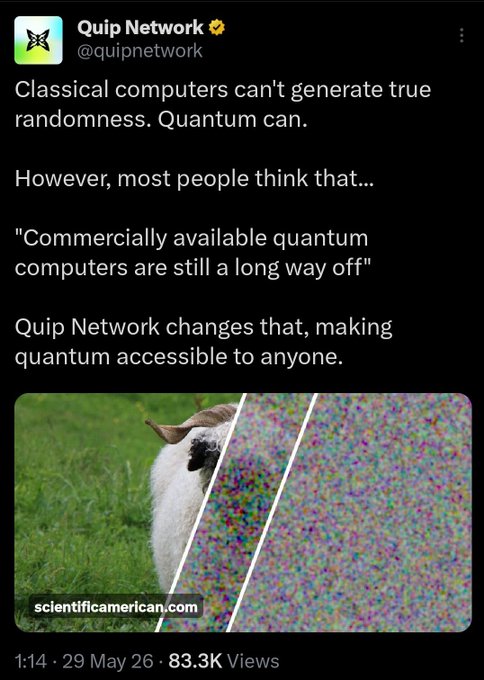 The image features a post from Quip Network, which has been reposted as a Twitter account. The post includes an image of a sheep with its back turned towards the camera. The text in the post reads "Classical computers can't generate true randomness. Quantum can." This statement is accompanied by a photo of a sheep and a quote from Quip Network about the concept of NFT minting.