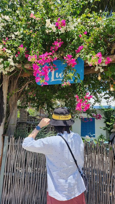 A person viewed from behind wearing a white polka-dot shirt and a black bucket hat with a yellow 'BIRBAW' band, taking a photo of a blue sign partially reading 'Luc' surrounded by vibrant pink and white bougainvillea flowers.
