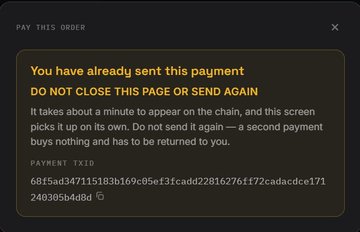 A payment warning screen stating 'You have already sent this payment - DO NOT CLOSE THIS PAGE OR SEND AGAIN' with a BUY transaction ID.