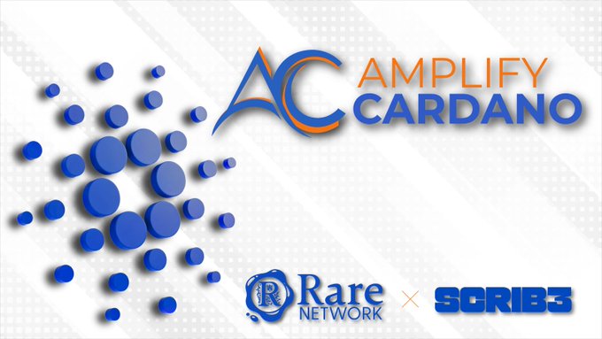 The image features two logos, one for Amplify Cardano and another for Rare Network. The Amplify Cardano logo has a blue circle with white dots inside of it, while the Rare Network logo also includes a blue circle with white dots. Both logos are displayed against a white background, making them stand out prominently.