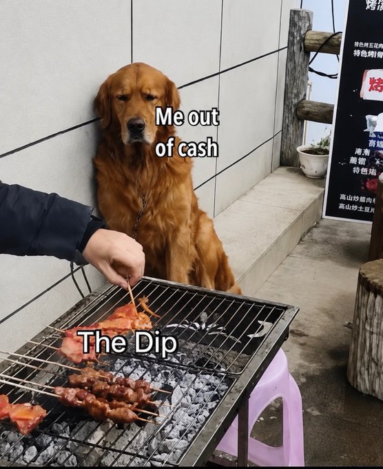 A Golden Retriever sitting behind a barbecue grill, captioned 'Me out of cash' above the dog and 'The Dip' over the grilling food, a meme playing on financial 'dip' terminology.