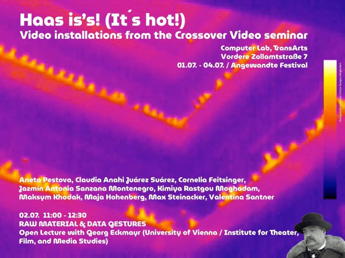 A promotional poster for "Haas is's! (It's hot!)" video installations from the Crossover Video seminar, listing event details, participants including Aneta Pestova and Claudia Anahí Juárez Suárez, and an open lecture by Georg Eckmayr at Computer Lab, TransArts in Vienna from July 1-4.