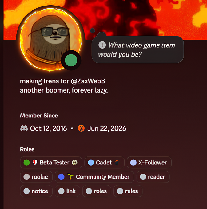 A Discord profile for a sloth avatar with a lava background, displaying roles like 'Beta Tester', 'Cadet', and 'X-Follower', with a custom status asking 'What video game item would you be?'.