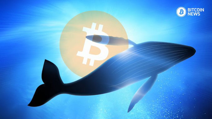 An illustration of a blue whale swimming in the ocean against a glowing Bitcoin logo in the sky, with "BITCOIN NEWS" branding in the corner, symbolizing Bitcoin "whales" — large holders moving significant amounts of BTC after years of inactivity, matching the post about two dormant wallets transferring 416.7 BTC (~$33.8 million) to a single address.